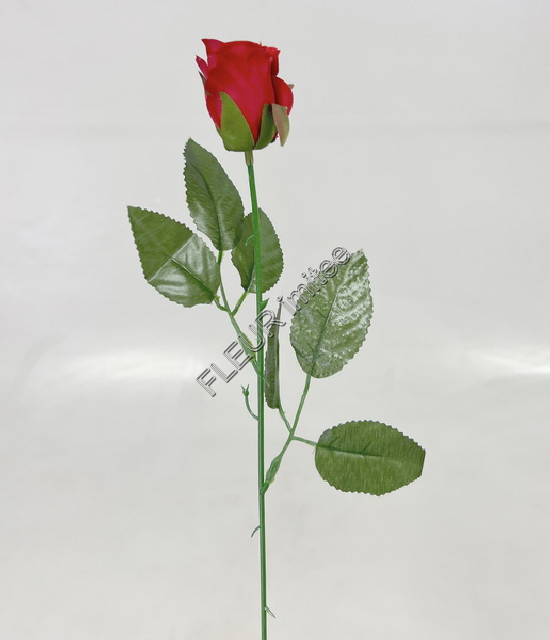 Růže poupě 50cm/4cm    24/2880