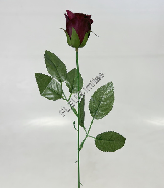 Růže poupě 50cm/4cm    24/2880