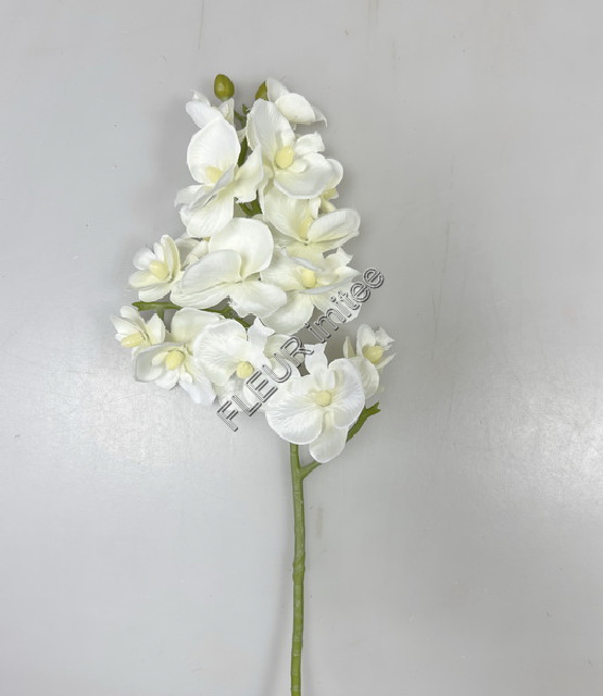 Orchidea x3  55cm 36/360
