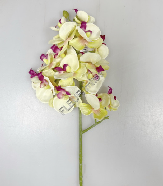 Orchidea x3  55cm 36/360