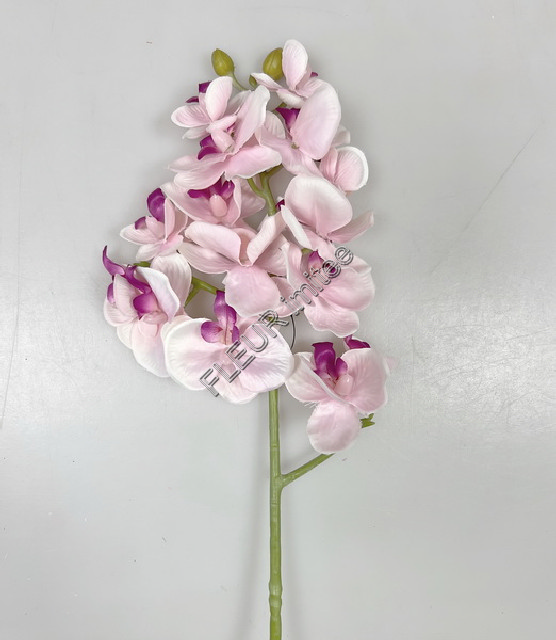 Orchidea x3  55cm 36/360