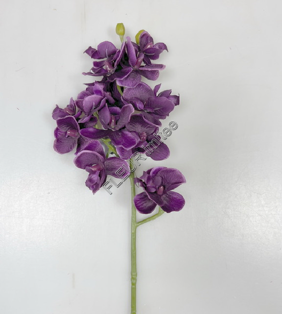 Orchidea x3  55cm 36/360