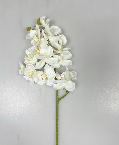 Orchidea x3  55cm 36/360