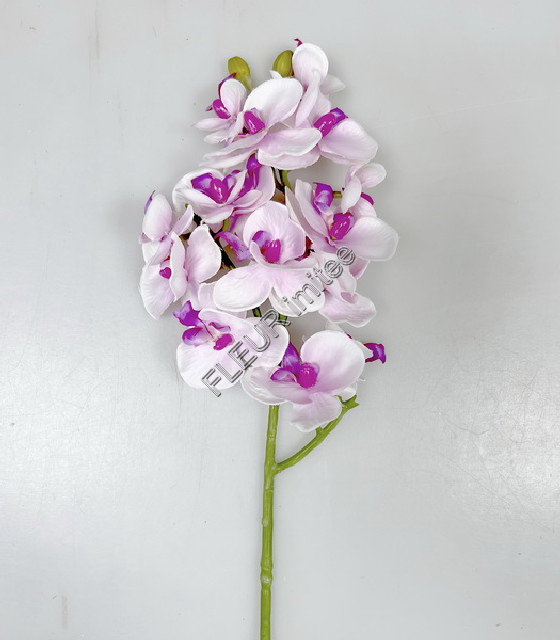 Orchidea x3  55cm 36/360