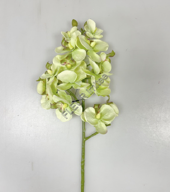 Orchidea x3  55cm 36/360
