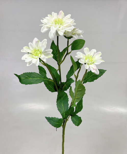 Chryzantéma x5 65cm  S669 24/240