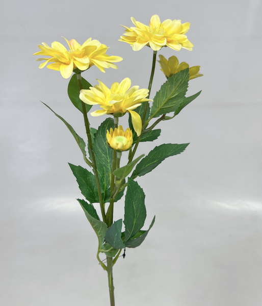 Chryzantéma x5 65cm  S669 24/240