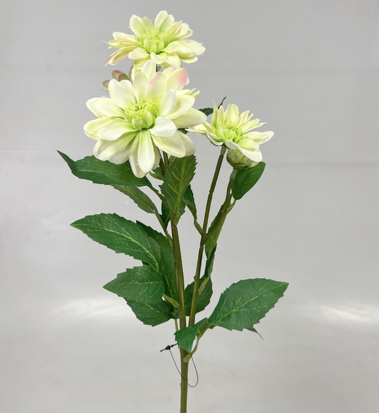 Chryzantéma x5 65cm  S669 24/240