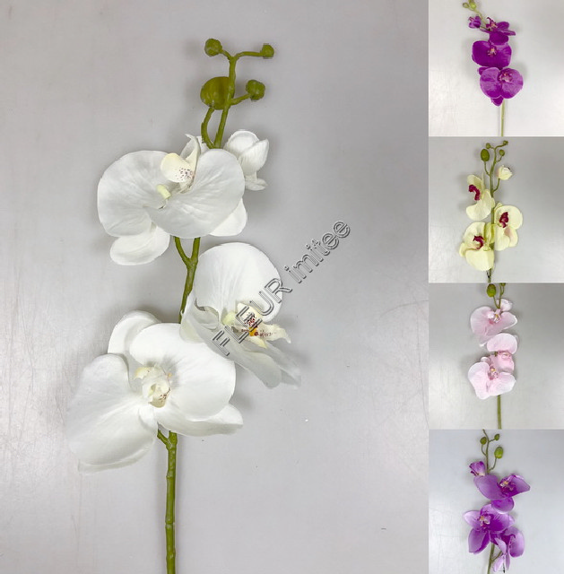 Orchidea x5 105cm 24/240