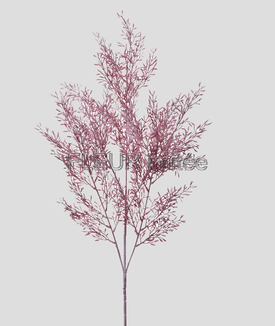 Lilie x3 78cm 36/144