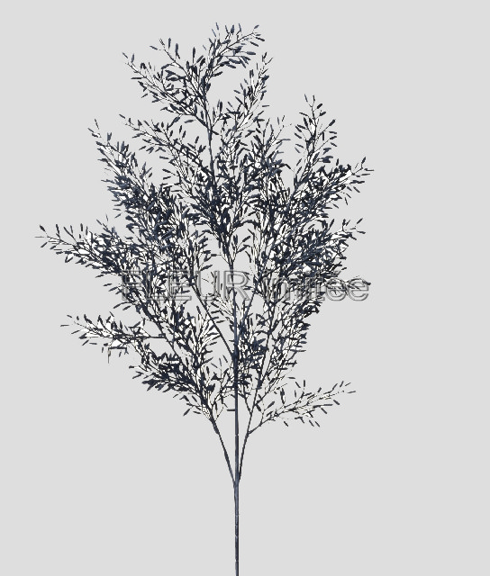 Lilie x3 78cm 36/144