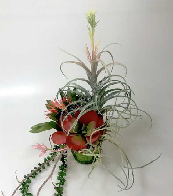 Ikebana sukulent květ 50x80 cm