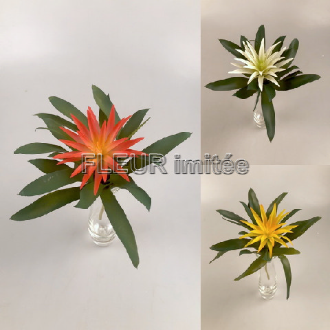 Kaktus s květem 25cm 24/192