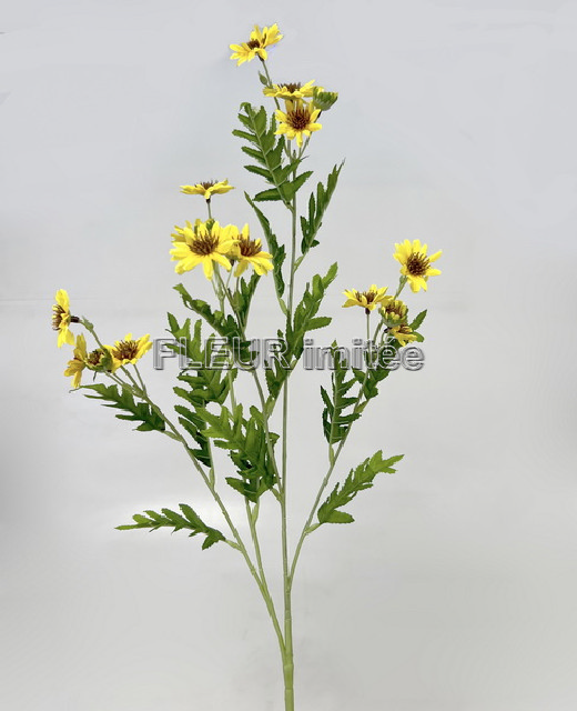 Čekanka S303 88cm 36/360