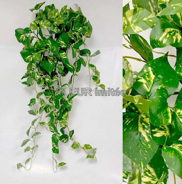 Pothos 100cm BL082 12/36