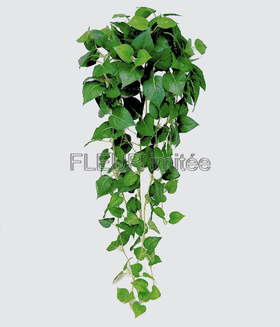 Pothos 100cm BL082 12/36