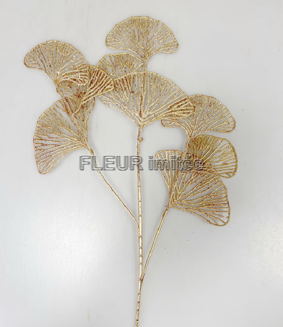 Ginkgo ván.70cm 36/360