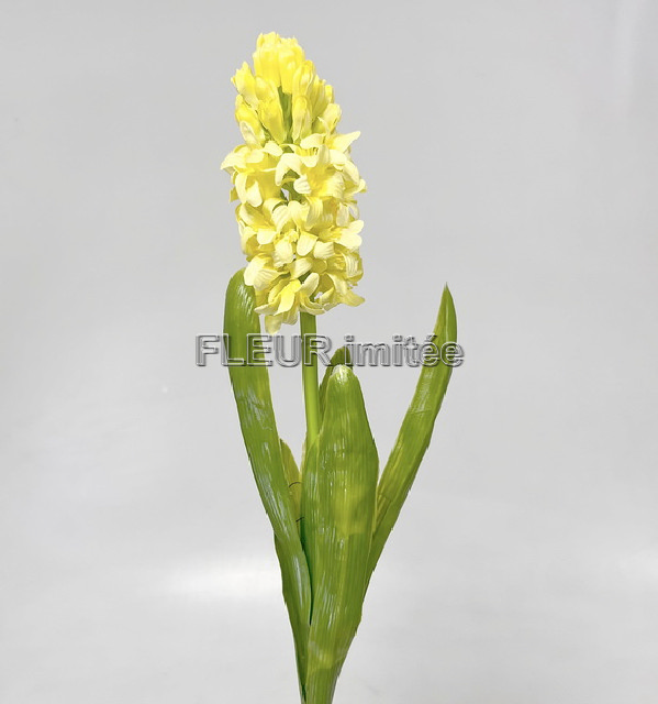 Hyacint latex 40cm 24/240