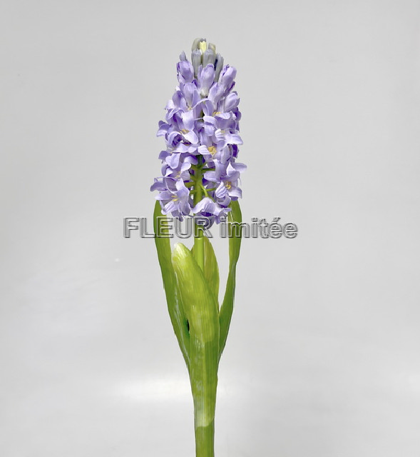 Hyacint latex 40cm 24/240