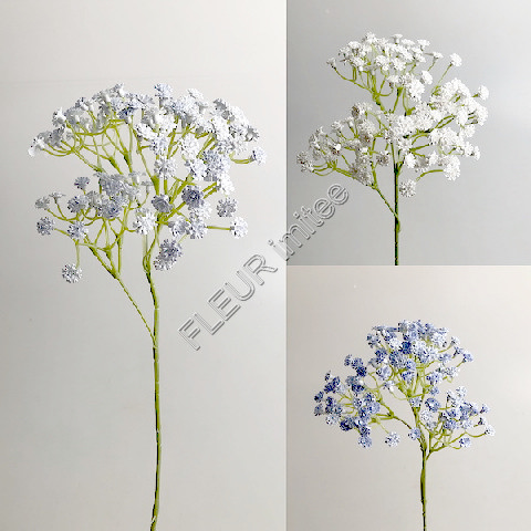 Gypsophila latex 60cm S455 96/960