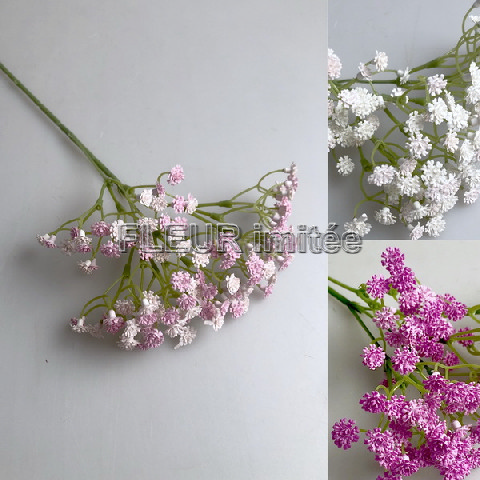 Gypsophila latex 60cm PINK 96/864