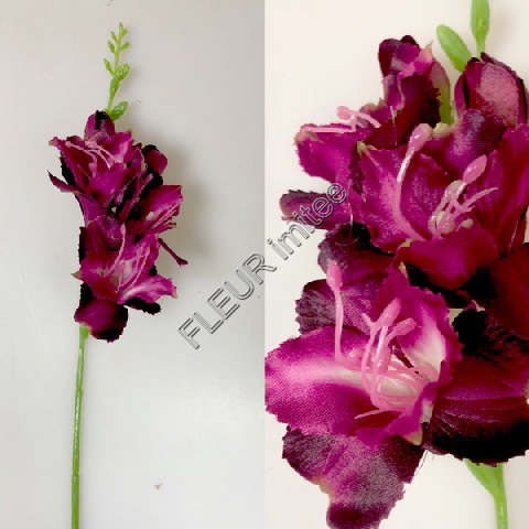 Frezie 60cm S677 12/96