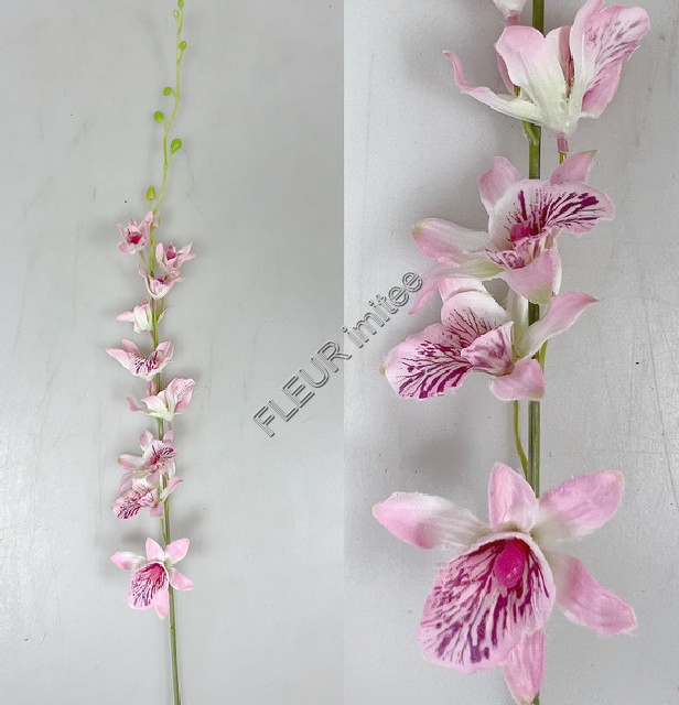 Orchidea dendr.70cm 12/108