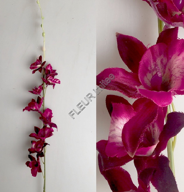 Orchidea dendr.70cm 12/108
