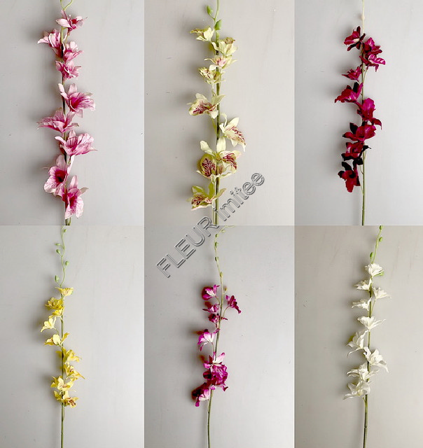 Orchidea dendr.70cm 12/108