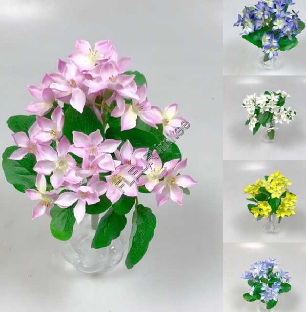 Bouvardia x7 27cm 48/240