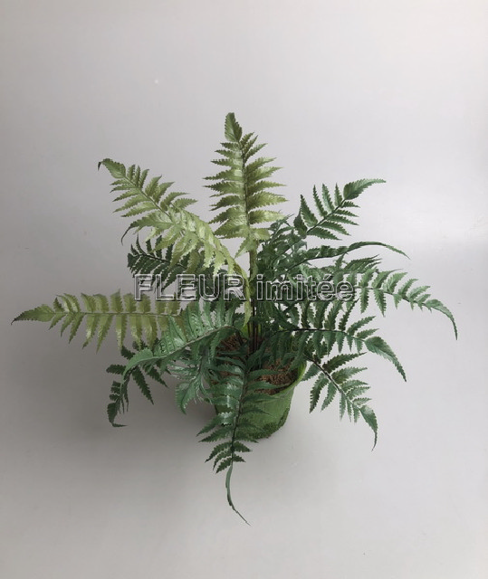Kapradí x7 latex 45cm v obalu 1/36