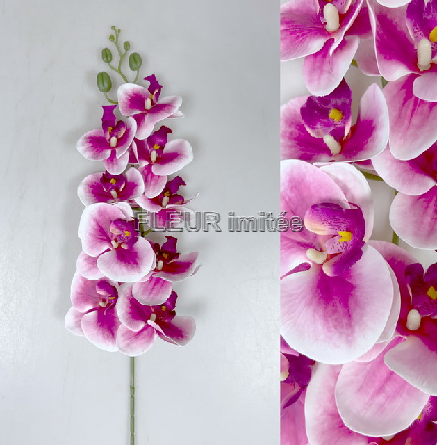Orchidea phal.latex 95cm 24/120