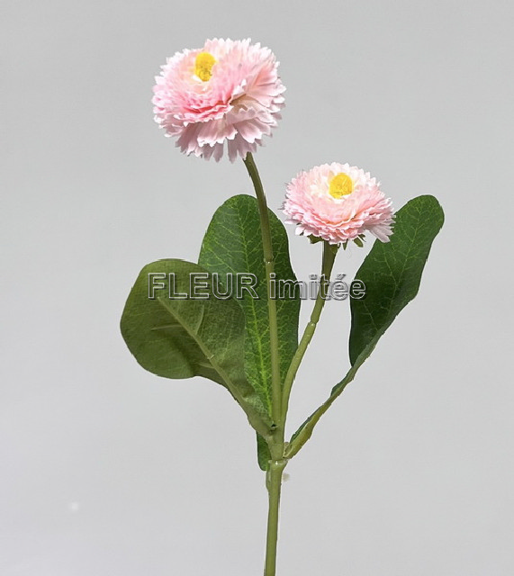 Sedmikráska x2 32cm