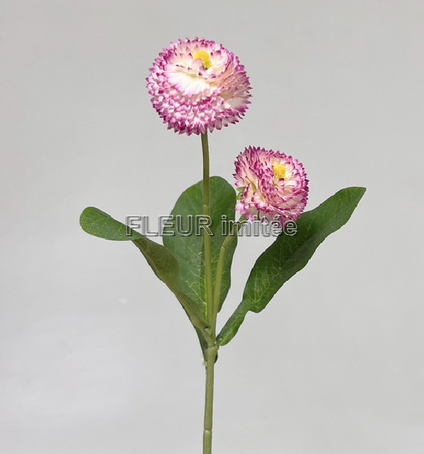 Sedmikráska x2 32cm