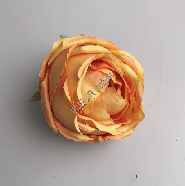 Květ růže OREGON 9cm  12/360