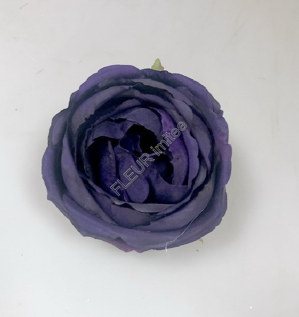 Květ růže OREGON 9cm  12/360
