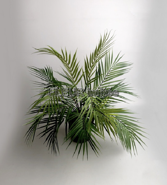 Palma Areca 65cm 1/6