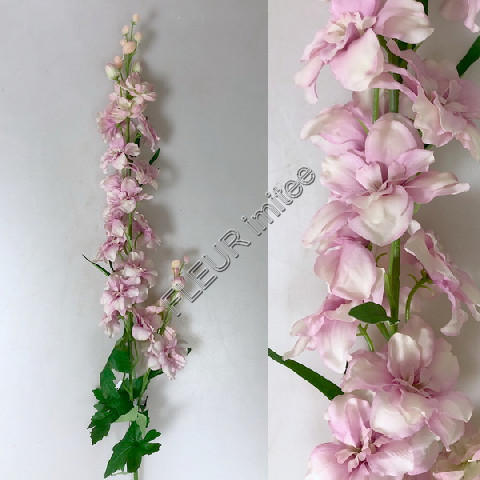 Delphinium 98cm S012  36/180