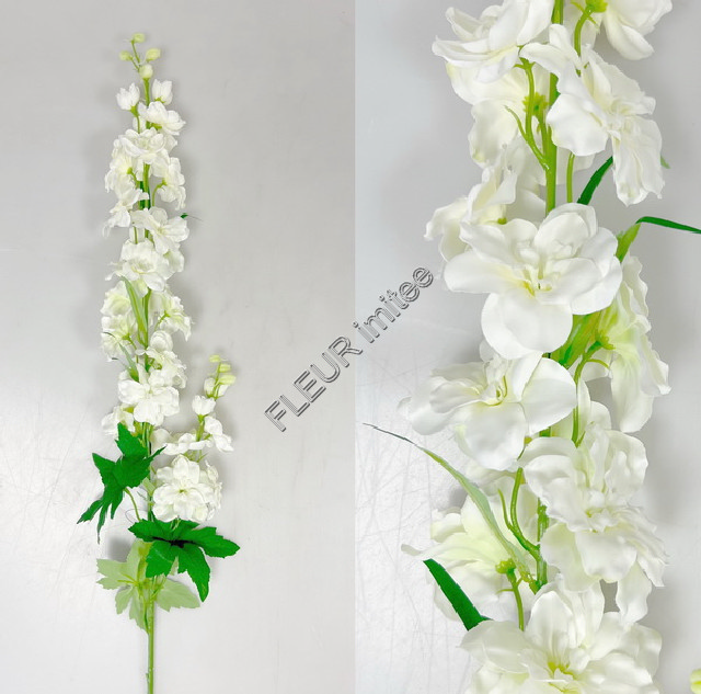 Delphinium 98cm S012  36/180