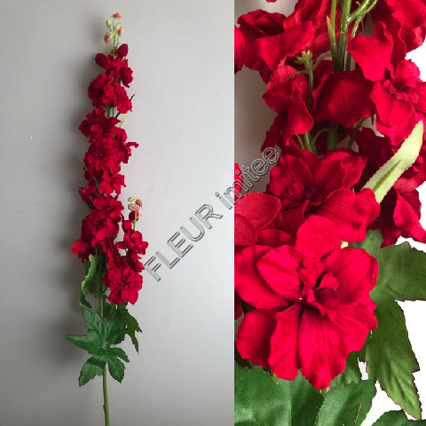 Delphinium velvet 80cm  24/120