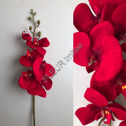 Orchidea velvet 75cm 18/90