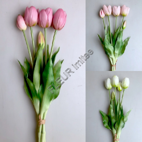 Tulipán x5 latex 40cm 12/72