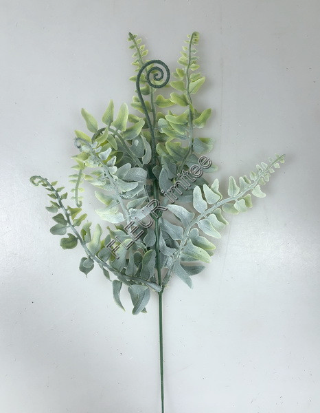 Kapradí záp. 48cm 12/120