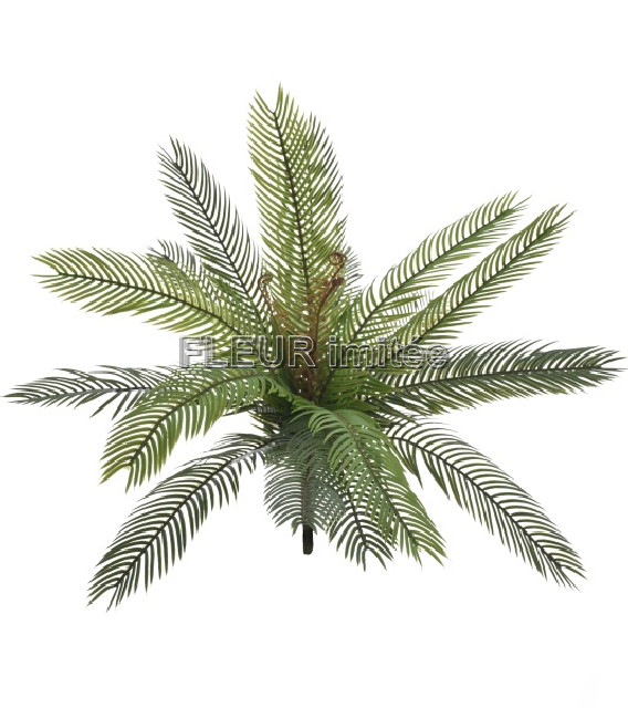 Palma x16 48cm 6/36