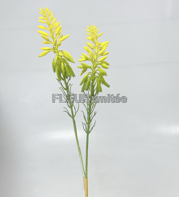 Aloe záp. 54cm 72/720