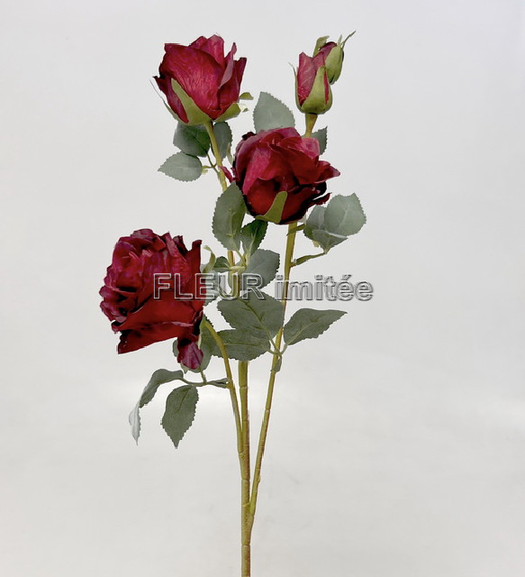 Růže x5 65cm 24/240