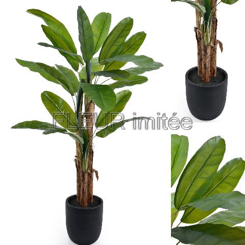 Banánovník 215cm latex   1/4