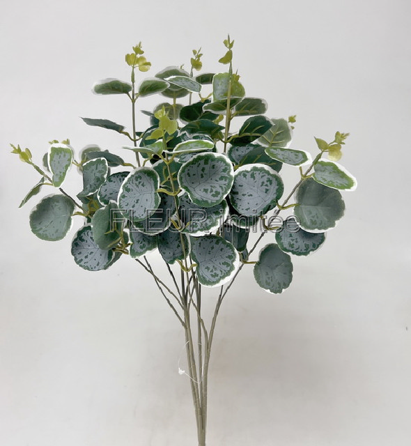 Eukalypt x4 52cm 1/48