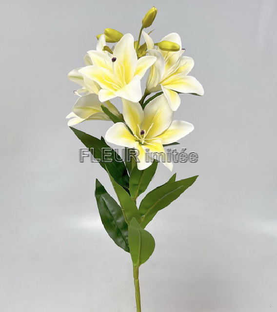 Lilie x5 75cm 18/72