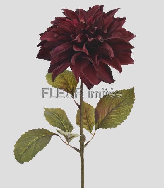 Jiřina x1 72cm LUX  12/144